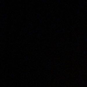 Meet your Posher, Timmy